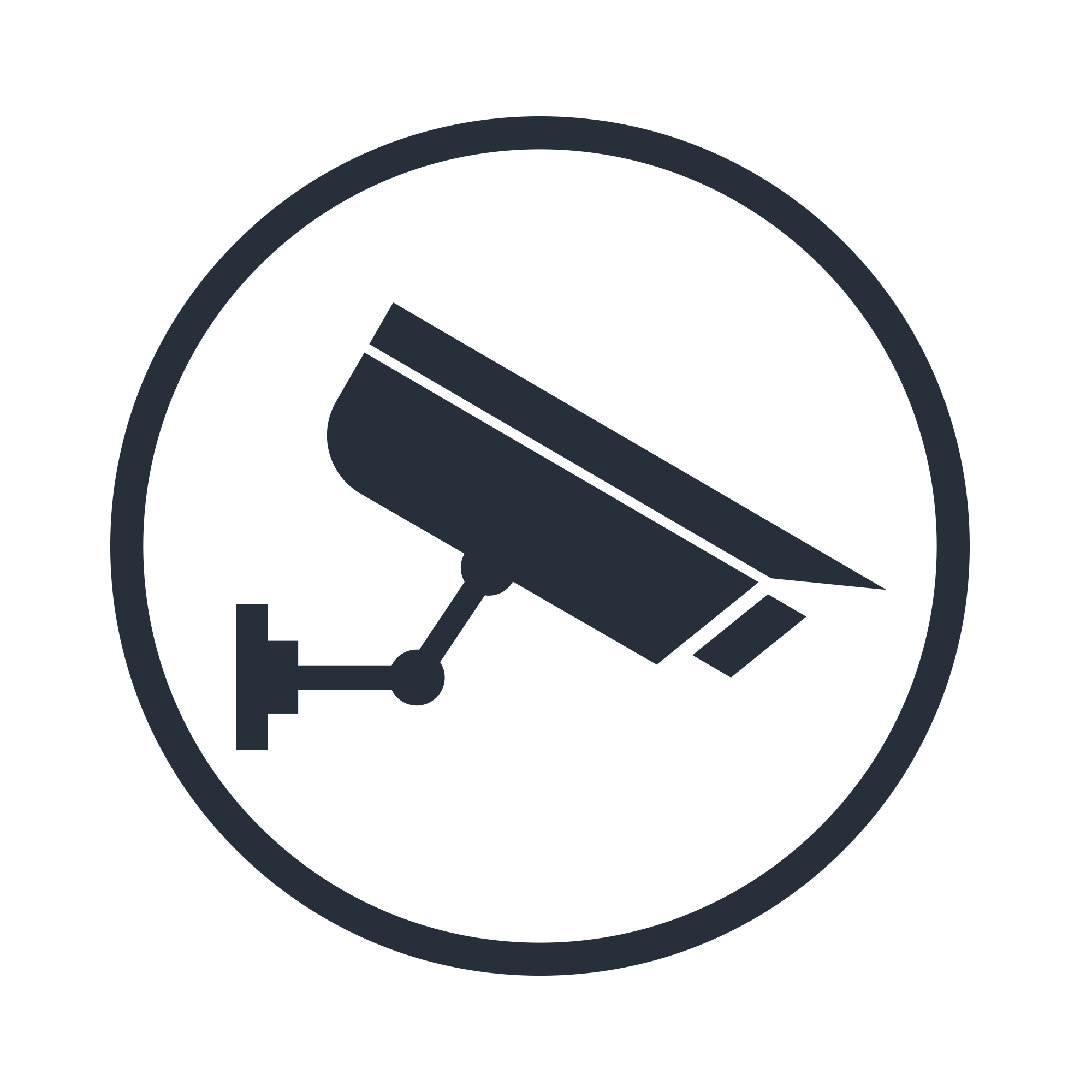 ANH CCTV Logo